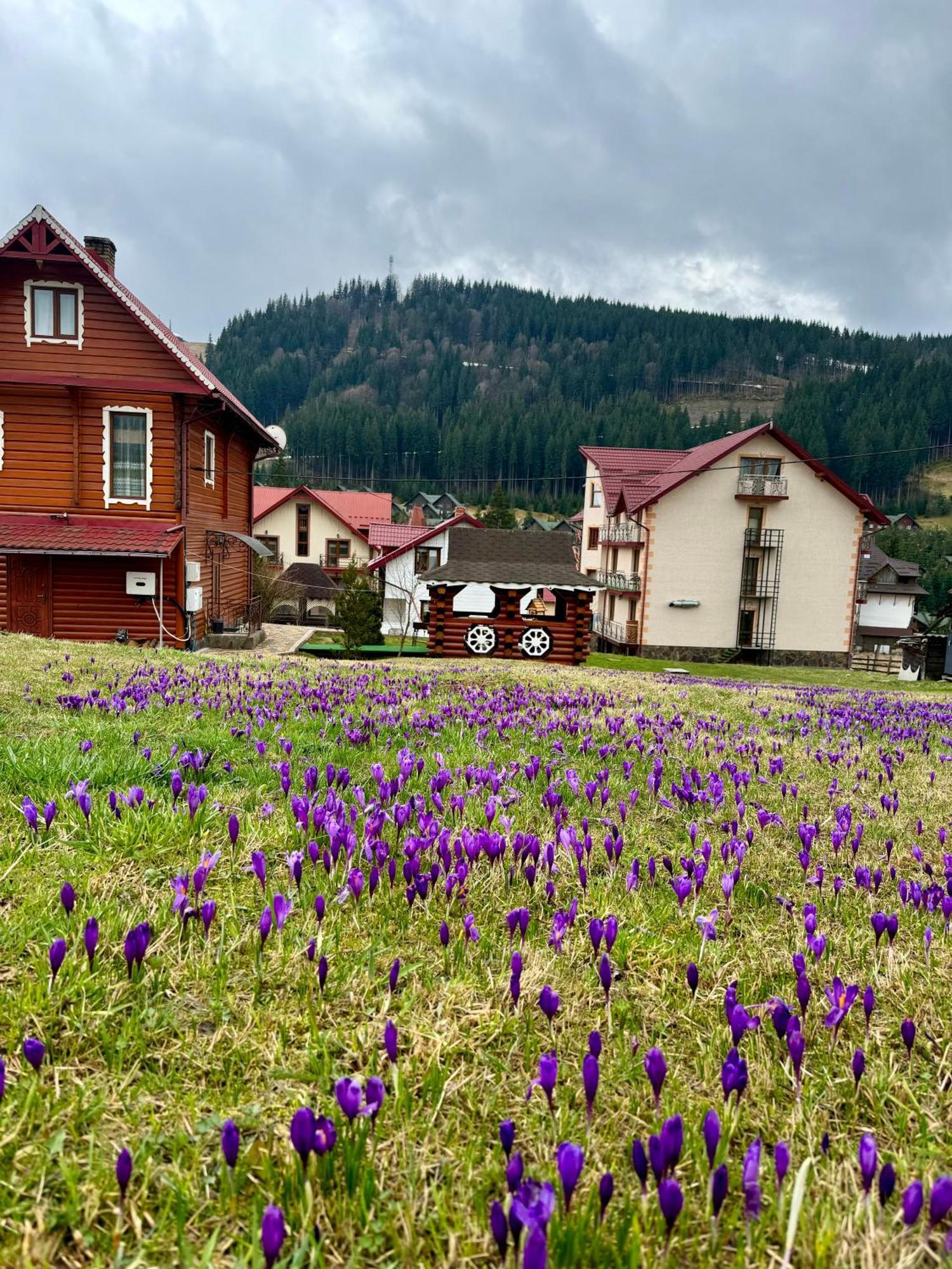 Sadyba U Halyny Sunrise Bukovel Exterior photo